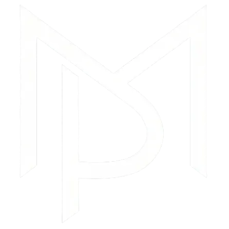 Professional Security Guard